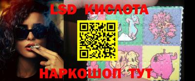 прущие грибы Конаково