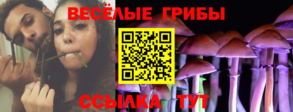 Псилоцибиновые грибы Magic Shrooms  Галлюциногенные грибы GOLDEN TEACHER  Избербаш  Вход с VPN 